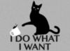 I Do What I Want -- Black Cat
