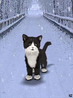 Cute Cat plays at the snow street