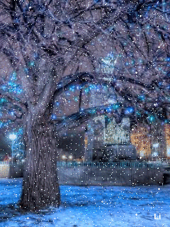 Beautiful Winter Night