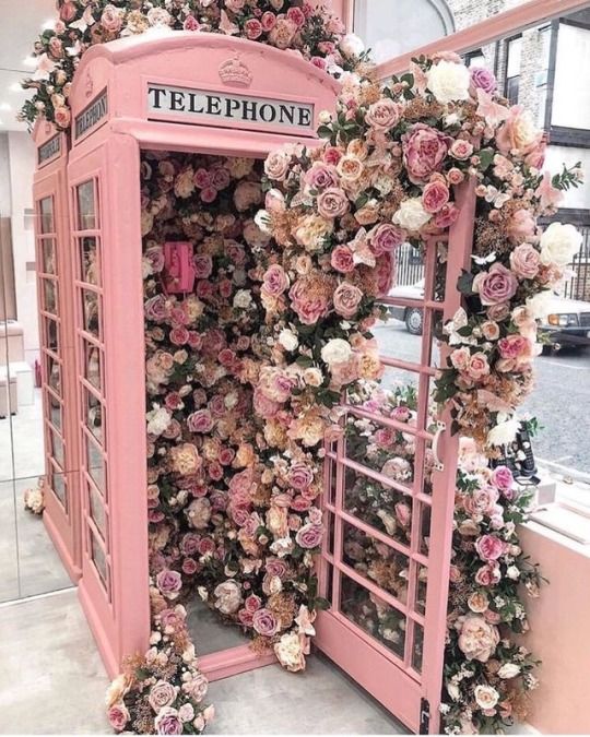 Pink Telephone and Flowers