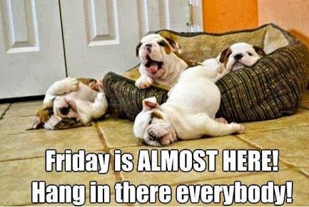 Friday is almost here! Hang in there everybody!