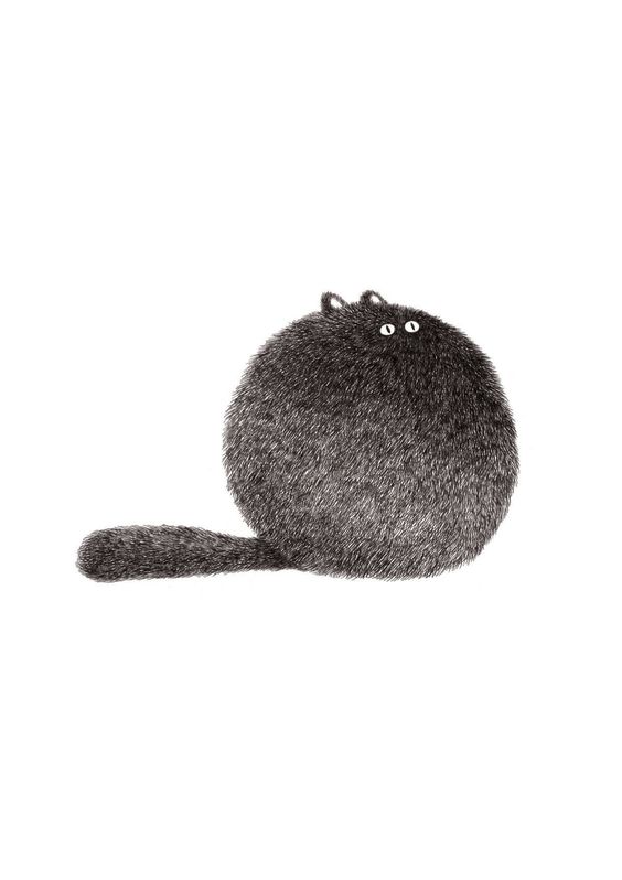 Cute Funny Ball Cat