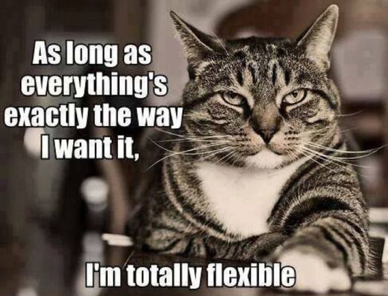 I'm totally flexible