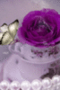 Purple Flower and Jewelry