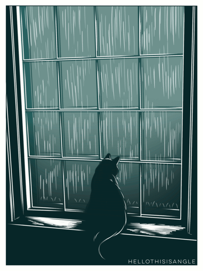 Black Cat Rainy Day :: Animated Pictures :: MyNiceProfile.com