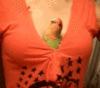 Funny parrot into the boobs: His dream has come true!