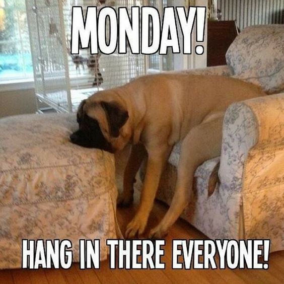 Monday! Hang in there everyone!