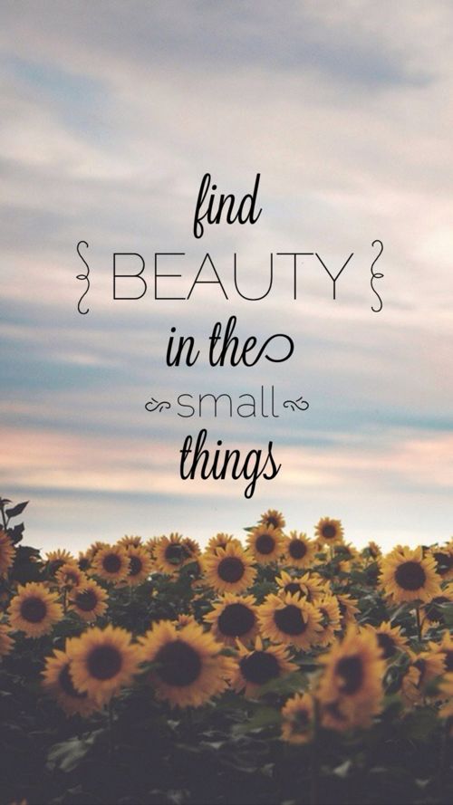 Find beauty in the small things