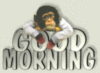 Good Morning - Monkey