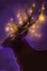 Good Night -- Fantasy Deer