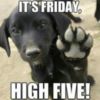 It's Friday, High Five!