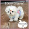 Happy Friday! We made it!