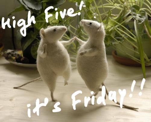 High Five! It's Friday!