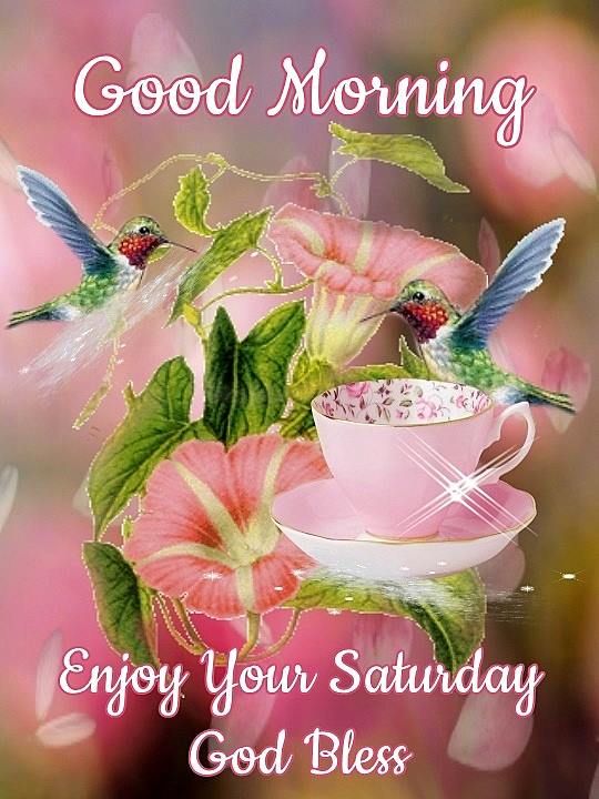 Good Morning Enjoy your Saturday God Bless