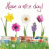 Have a nice day! - Flowers