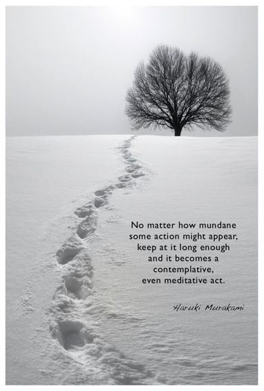 No matter how mundane some action might appear, keep at it long enough and it becomes a contemplative, even meditative act. - Haruki Murakami