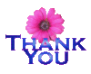 Thank You - Flower