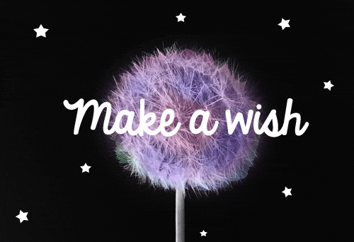 Make A Wish, Hope It Comes True!