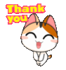 Thank You -- Cute Kitten