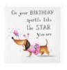 On your Birthday sparkle like the Star you are
