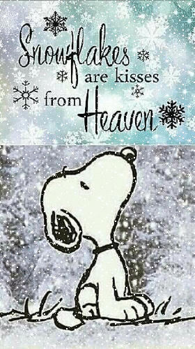 Snowflakes are kisses from Heaven