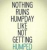 Nothing Ruins Humpday Like Not Getting Humped