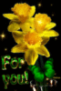 For You! -- Yellow Flowers