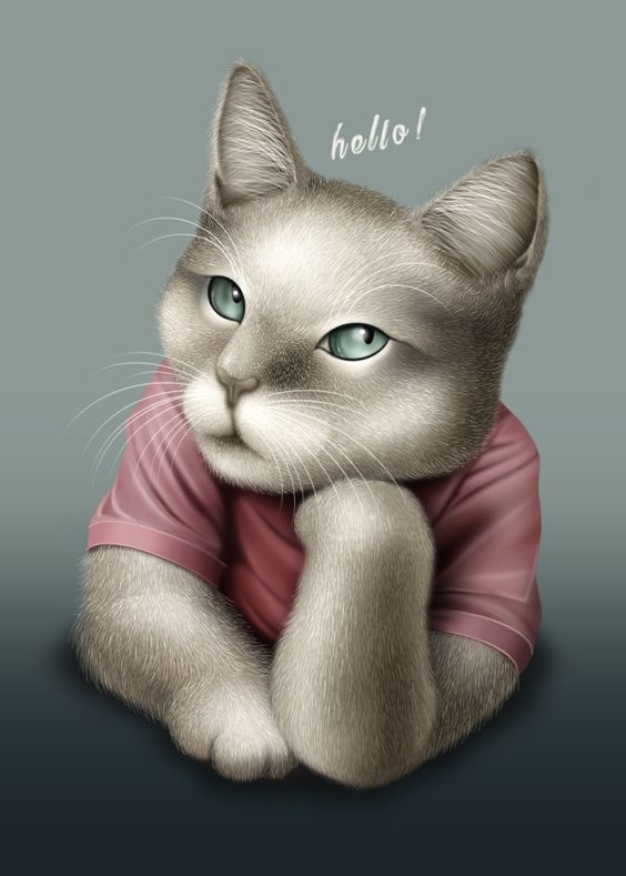 Hello! - Cat