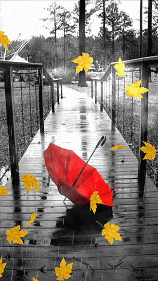 Red Umbrella in the rain