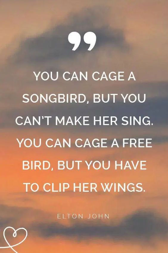 You can cage a songbird, but you can't make her sing. You a can cage a free bird, but you have to clip her wings. - Elton John