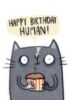 Happy Birthday Human! - Funny Cat