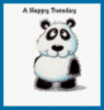 A Happy Tuesday From Me To You! - Panda Flower