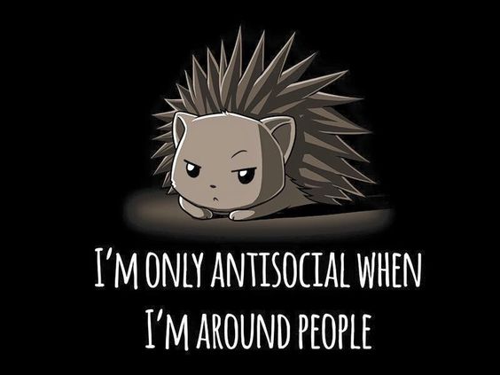 I'm Only Antisocial When I'm Around People