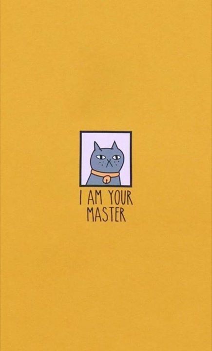 I Am Your Master -- Funny Cat