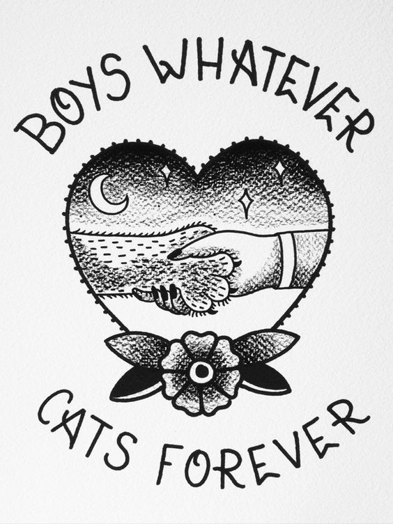 Boys Whatever Cats Forever