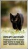 Cats Are Like Music