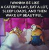I wanna be like a caterpillar, eat a lot, sleep loads, and then wake up beautiful. - Minions Quotes