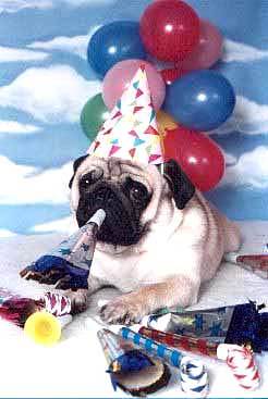 Happy Birthday Dog Balloons