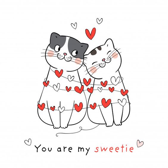 You are my sweetie - Cute Cats