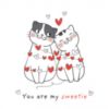 You are my sweetie - Cute Cats