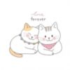 Love Forever - Cute Cats