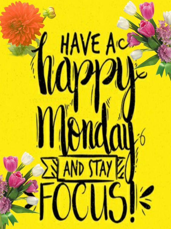 Have A Happy Monday And Stay Focus!