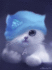Cute Kitten Adidas Hat