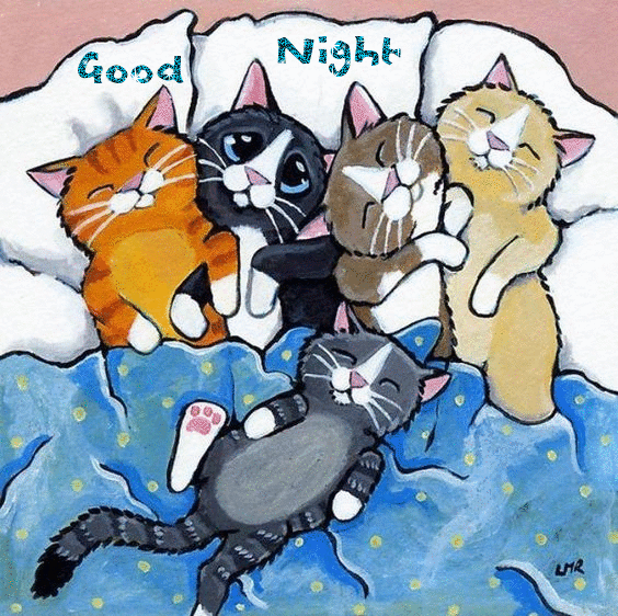 Good Night -- Kittens