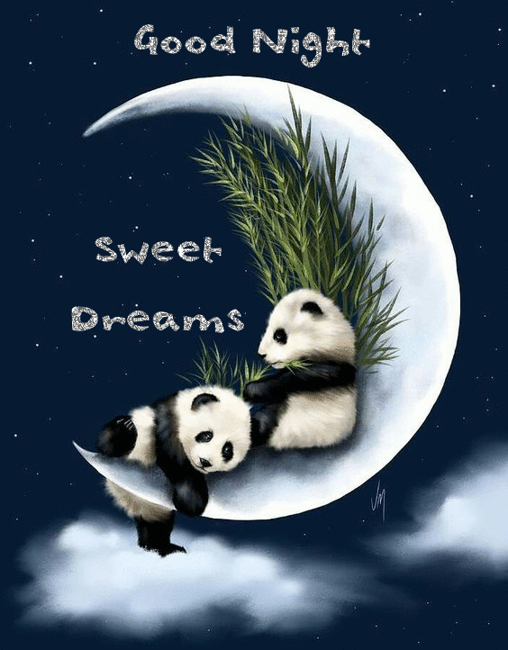 Good Night Sweet Dreams -- Cute Panda Bears