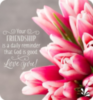 Your Friendship is a daily reminder that God is good. Love you!