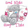 Good Night Sleep Tight -- Teddy Bear
