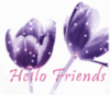 Hello Friends
