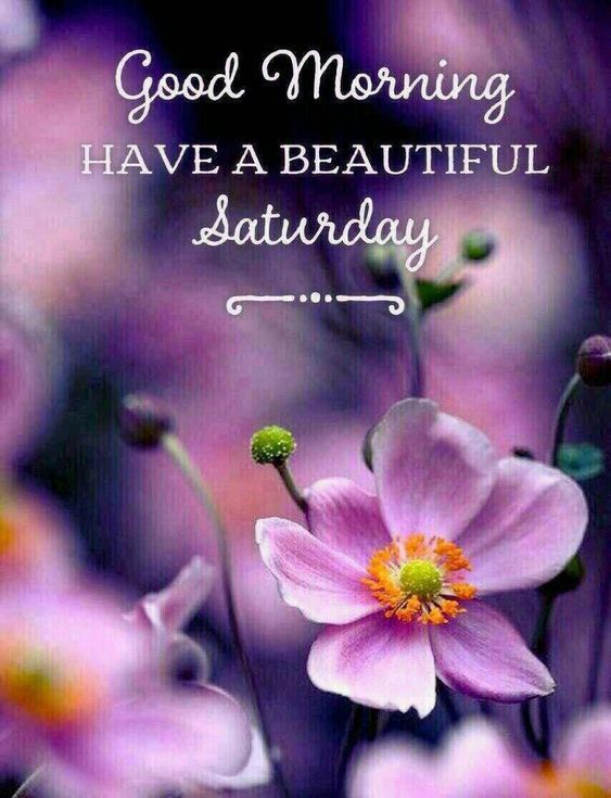 Good Morning Have A Beautiful Saturday