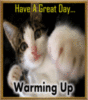 Have A Great Day... Cat Warming Up